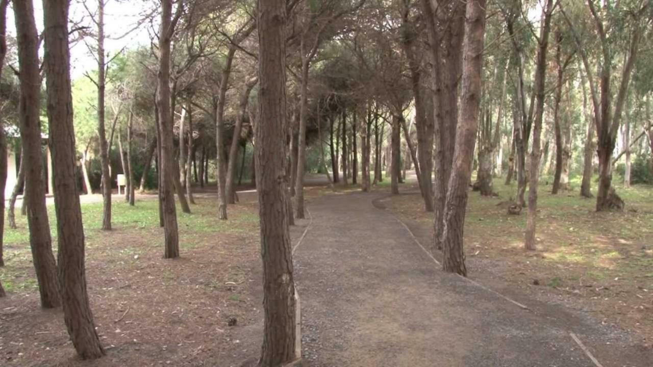 La Dolce Vita, Relax & Kite Lamezia Ламеция Терме Екстериор снимка